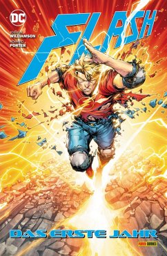 Cover Flash: Das erste Jahr (eBook, ePUB)