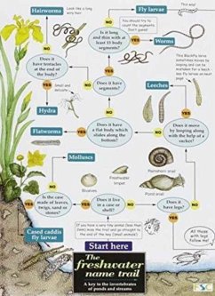 Cover The Freshwater name trail
