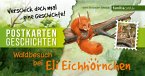 Waldbesuch bei Eli Eichhörnchen