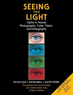 Seeing the Light - Falk, David; Brill, Dieter; Stork, David