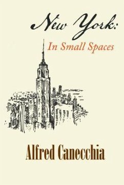 NEW YORK (eBook, ePUB) - Canecchia, Alfred