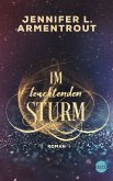 Im leuchtenden Sturm / Götterleuchten Bd.2