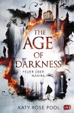 Feuer über Nasira / Age of Darkness Bd.1