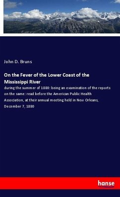 On the Fever of the Lower Coast of the Mississippi River - Bruns, John D.