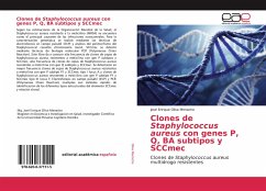 Clones de Staphylococcus aureus con genes P, Q, BA subtipos y SCCmec - Oliva Menacho, José Enrique