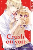 Crush on you 03 (eBook, ePUB)