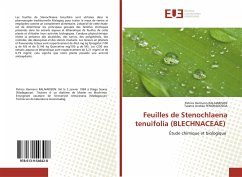 Feuilles de Stenochlaena tenuifolia (BLECHNACEAE) - RALAIARISON, Patrice Hermann;Fenoradosoa, Taratra Andrée