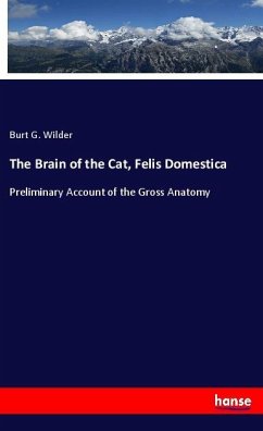 The Brain of the Cat, Felis Domestica - Wilder, Burt G.