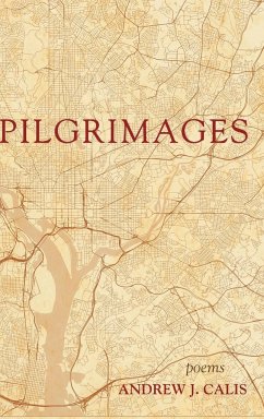 Pilgrimages - Calis, Andrew J.