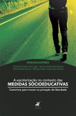 A escolarização no contexto das medidas socioeducativas (eBook, ePUB)