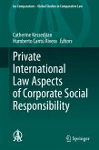 Private International Law Aspects of Corporate Social Responsibility (eBook, PDF)