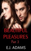Beautiful Pleasures Part 3 (Beautiful Pleasures Series, #3) (eBook, ePUB)