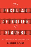 The Peculiar Afterlife of Slavery (eBook, ePUB)