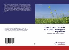 Effect of heat shock on stress responsive gene expression