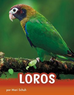 Loros - Schuh, Mari