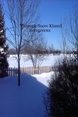Through Snow Kissed Evergreens