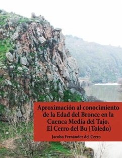Aproximación al conocimiento de la Edad del Bronce en la Cuenca Media del Tajo. El Cerro del Bu (Toledo) - Fernández del Cerro, Jacobo