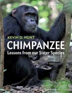 Chimpanzee - Hunt, Kevin D.