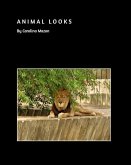 Animal Looks