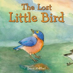 The Lost Little Bird - McPhail, David