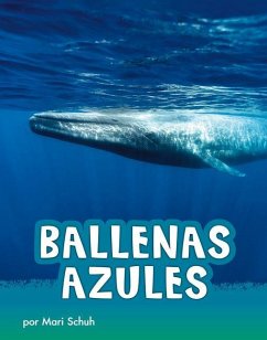 Ballenas Azules - Schuh, Mari