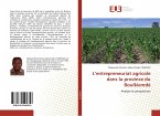 L¿entrepreneuriat agricole dans la province du Boulkiemdé