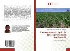 L¿entrepreneuriat agricole dans la province du Boulkiemdé - YAMEOGO, Paligwendé Christian Abdoul Kader