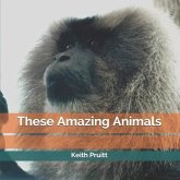 These Amazing Animals