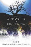 The Opposite of Lightning