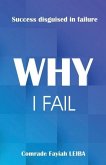 Why I Fail: Success Disguised in Failure