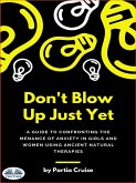 Don't Blow Up Just Yet (eBook, ePUB)