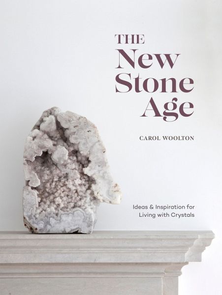 The New Stone Age (eBook, ePUB)