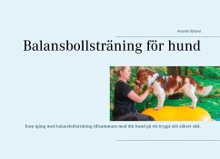 Balansbollsträning för hund - Sjöland, Amanda