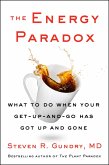 The Energy Paradox (eBook, ePUB)
