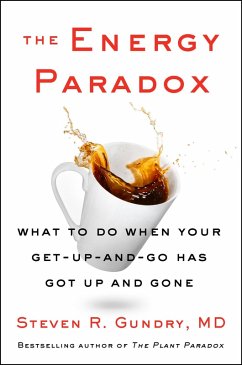 The Energy Paradox (eBook, ePUB) - Gundry, Md
