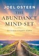 The Abundance Mind-Set (eBook, ePUB) - Bild 1