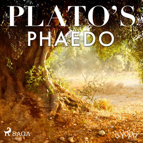 Plato's Phaedo (MP3-Download)