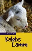 Kalebs Lamm (eBook, ePUB)