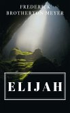 Elijah (eBook, ePUB)