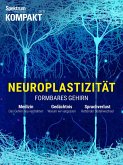 Spektrum Kompakt - Neuroplastizität (eBook, PDF)