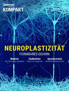Cover Spektrum Kompakt - Neuroplastizität (eBook, PDF)