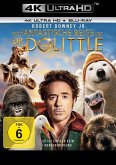 Die fantastische Reise des Dr. Dolittle