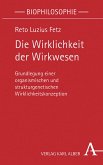 Die Wirklichkeit der Wirkwesen (eBook, PDF)