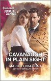 Cavanaugh in Plain Sight (eBook, ePUB)