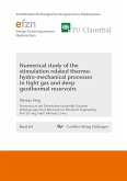 Numerical study of the stimulation related thermo-hydro-mechanical processes in tight gas and deep geothermal reservoirs (eBook, PDF)