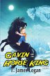Gavin and the Horse King (Adventure... - Bild 1