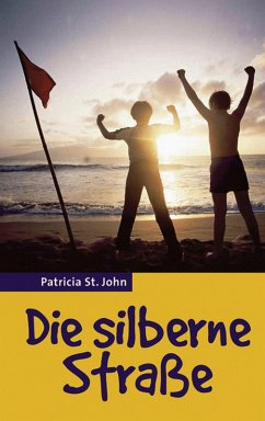 Die silberne Straße (eBook, ePUB) - St John, Patricia