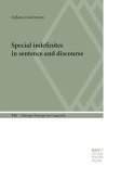 Special Indefinites in Sentence and Discourse (eBook, PDF)