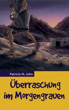 Überraschung im Morgengrauen (eBook, ePUB) - St John, Patricia