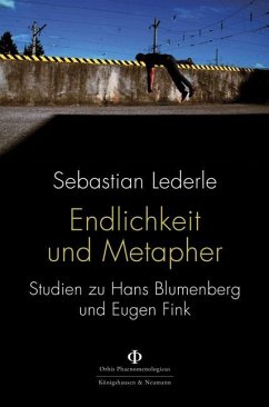 Endlichkeit und Metapher - Lederle, Sebastian